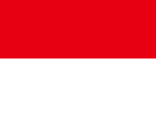 Pixelated flag of Indonesia